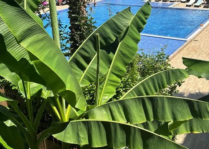 Delux Argisht Апартаменти