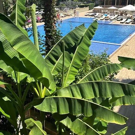 Delux Argisht Apartament